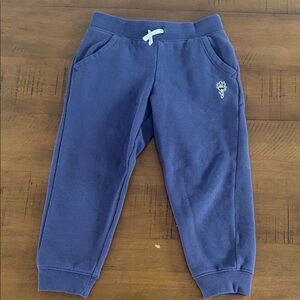 GOAT USA kids Blue Jogger Pants